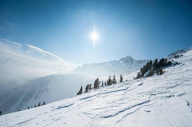 Hotel Les Alpes Allevard Εξωτερικό φωτογραφία